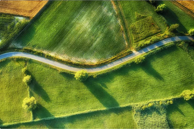 Overheard image of rural road