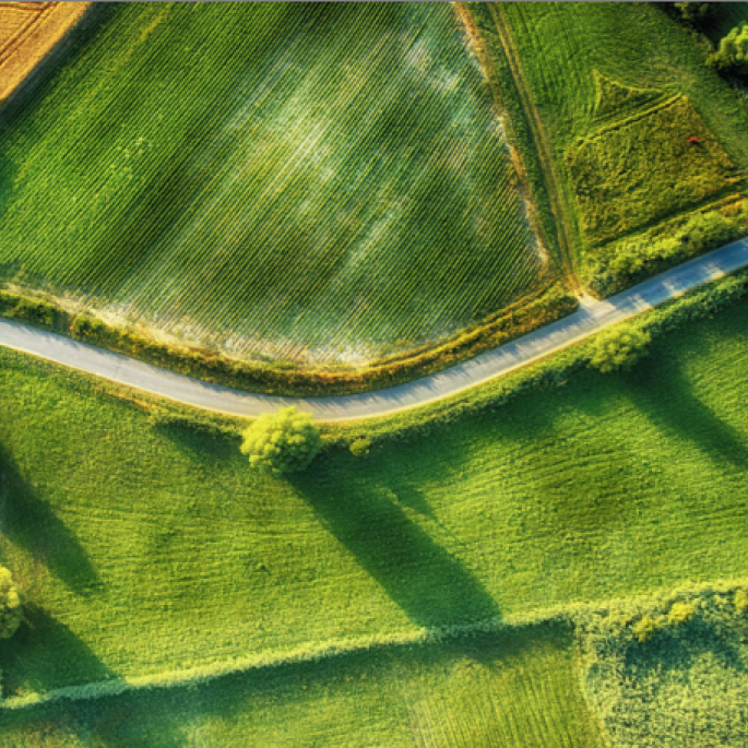 Overheard image of rural road