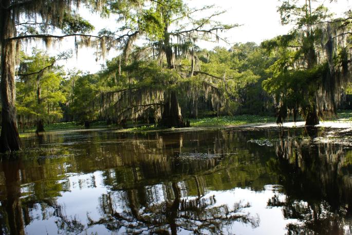 Caddo Lake