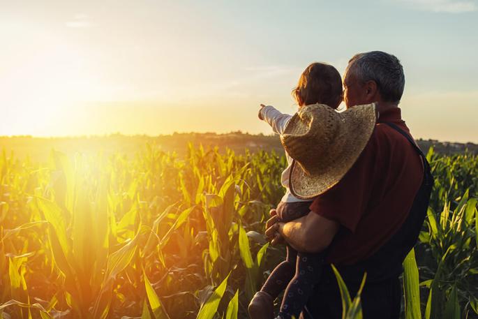 Photo of father holding child in cornfield looking at the sunset